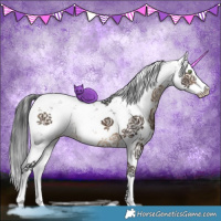 Horse Color:Brown Dun Sabino Brindle 