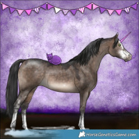 Horse Color:Brown Dun Sabino 