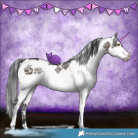 Horse Color:Brown Dun Sabino Brindle 