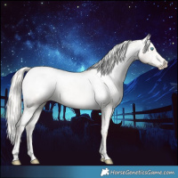 Horse Color:Cremello Dun Appaloosa Brindle