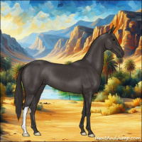 Horse Color:Smoky Black 