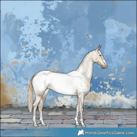Horse Color:Chocolate Palomino Dun Near Fewspot Brindle 