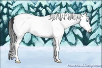 Horse Color:White Spotted Grullo Splash Tobiano
