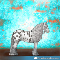 Horse Color:Grullo Appaloosa