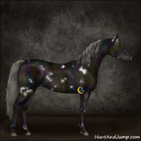 Horse Color:White Spotted Midnight Liver Red Dun Ice Mushroom Brindle 