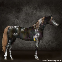 Horse Color:White Spotted Midnight Liver Red Dun Ice Tobiano 