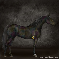 Horse Color:Midnight Liver Red Dun Ice Brindle
