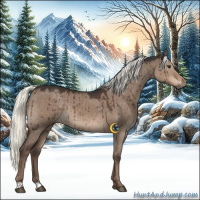 Horse Color:Liver Red Dun Mushroom Rabicano Brindle 