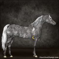 Horse Color:Platinum White Spotted Liver Red Dun Ice Mushroom Brindle 