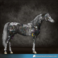 Horse Color:Gray Platinum White Spotted Midnight Liver Red Dun Ice Mushroom Tobiano Brindle