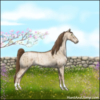 Horse Color:Liver Red Dun Pearl Brindle 