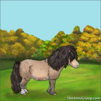 Horse Color:Amber Champagne 