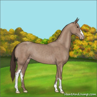 Horse Color:Classic Champagne 