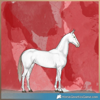 Horse Color:Brown Snowdrop Dun Near Fewspot Brindle 