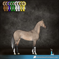 Horse Color:Bay Dun Brindle 