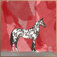 Horse Color:Brown Roan Dun Near Leopard Brindle 