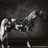 Horse Color:White Spotted Liver Chestnut Ice Mushroom 