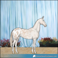 Horse Color:White Spotted Smoky Creme Appaloosa 
