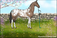 Horse Color:Brown Dun Tobiano Blanket 