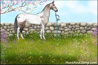 Horse Color:Gray Brown Dun Tobiano Appaloosa 