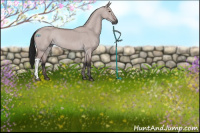 Horse Color:Gray Platinum Buckskin Dun Rabicano 