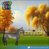 Horse Color:Gray Platinum Bay Dun Rabicano 