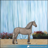 Horse Color:Silver Grullo 