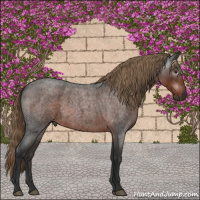 Horse Color:Gray Liver Red Roan 