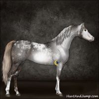 Horse Color:Gray Liver Chestnut Ice Tobiano 