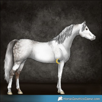 Horse Color:Gray Liver Chestnut Splash Tobiano  and Gray Liver Red Dun Ice Tobiano 