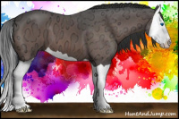 Horse Color:Bay Ice Splash 