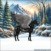 Horse Color:Void Platinum Buckskin Dun Sabino Tobiano Appaloosa Rabicano 