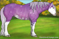 Horse Color:Watercolor Silver Brown Splash Rabicano