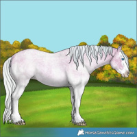 Horse Color:Watercolor White Spotted Silver Bay Roan Splash 