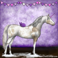 Horse Color:Gray White Spotted Silver Buckskin Ice Pearl Dun 
