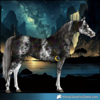 Horse Color:White Spotted Midnight Liver Red Dun Ice Brindle