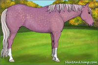 Horse Color:Watercolor Silver Black 