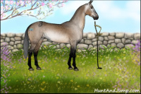 Horse Color:Gray Void Brown Dun Sabino Appaloosa Rabicano 