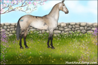 Horse Color:Gray Void White Spotted Brown Dun Appaloosa 