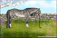 Horse Color:Brown Dun Splash Appaloosa 