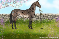 Horse Color:Void White Spotted Brown Dun Appaloosa Rabicano 