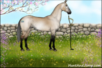 Horse Color:Gray Void Brown Dun Sabino Rabicano 