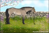 Horse Color:Brown Dun Snowflake VarnishRabicano 