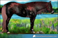 Horse Color:Void Watercolor White Spotted Liver Red Onyx Tobiano 