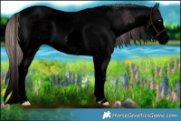 Horse Color:Void Watercolor Liver Red Dun Ice Roan Splash Tobiano 