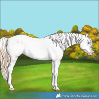 Horse Color:Perlino Dun Varnish 