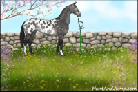 Horse Color:Gray Platinum Brown Dun Sabino Blanket Rabicano 
