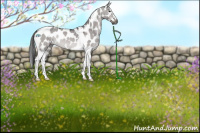 Horse Color:Gray Platinum Brown Dun Sabino Tobiano Leopard 