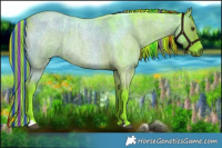 Horse Color:Painted Watercolor Liver Red Dun Roan Brindle 