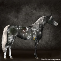 Horse Color:White Spotted Liver Chestnut Ice Mushroom